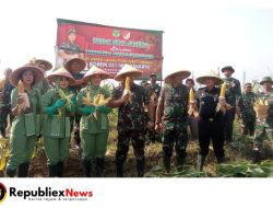 PJ Bupati Bekasi Bersama Pangdam Jaya Hadir Dalam Rangka Panen Raya Jagung Di Food Estate Terpadu Cibitung