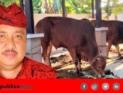 Dinsos P3A Sumenep, Siap Salurkan 27 Hewan Qurban di Hari Raya Idul Adha 1444 H – 2023 M