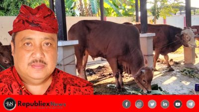 Dinsos P3A Sumenep, Siap Salurkan 27 Hewan Qurban di Hari Raya Idul Adha 1444 H – 2023 M