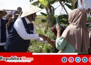KIHT Sumenep: Harapan Baru Bagi Petani Tembakau dan Perekonomian Daerah