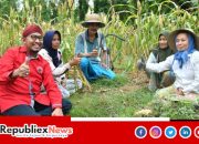 Pemkab Sumenep Alokasikan DBHCHT untuk Asuransi Ketenagakerjaan Petani Tembakau