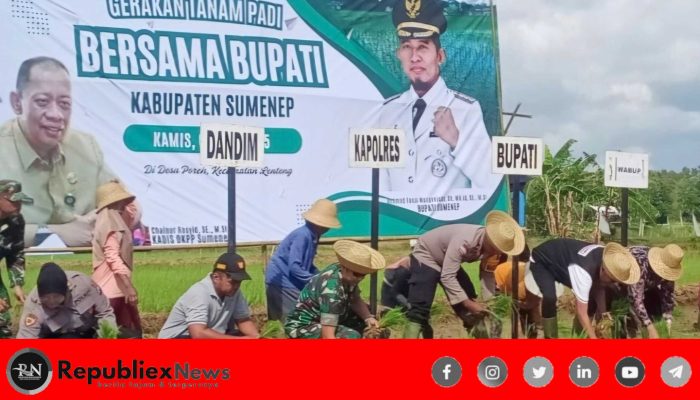 Pemkab Sumenep Gelar Tanam Padi Serentak, Dorong Swasembada dan Surplus Pangan