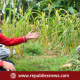 Bupati Sumenep Komit Dampingi Petani di Musim Tanam Tembakau 2026